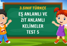 EŞ ANLAMLI VE ZIT ANLAMLI KELİMELER TEST 5