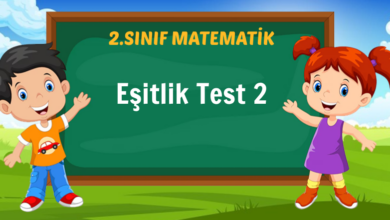 Eşitlik Test 2