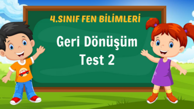 Geri Dönüşüm Test 2