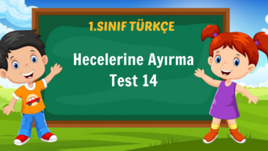 Hecelerine Ayırma Test 14