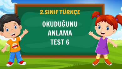 OKUDUĞUNU ANLAMA TEST 6