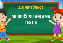 OKUDUĞUNU ANLAMA TEST 6