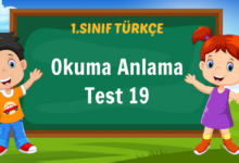Okuma Anlama