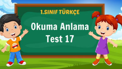 Okuma Anlama Test 17