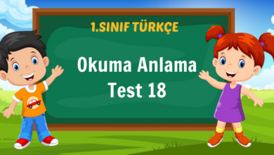 Okuma Anlama Test 18