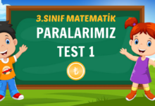 PARALARIMIZ TEST 1