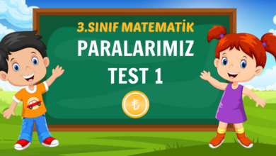 PARALARIMIZ TEST 1