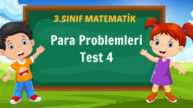 Para Problemleri