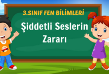 Şiddetli Seslerin Zararı
