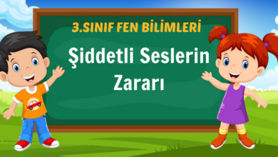 Şiddetli Seslerin Zararı