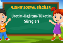 Üretim-Dağıtım-Tüketim Süreçleri