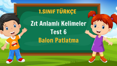 Zıt Anlamlı Kelimeler Test 6