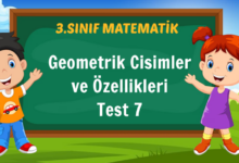 3. Sınıf Geometrik Cisimler ve Özellikleri Test 7