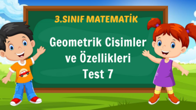 3. Sınıf Geometrik Cisimler ve Özellikleri Test 7