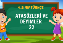 ATASÖZLERİ VE DEYİMLER TEST 22