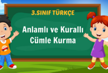 Anlamlı ve Kurallı Cümle Kurma