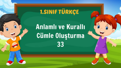 Anlamlı ve Kurallı Cümle Oluşturma 33