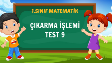 ÇIKARMA İŞLEMİ TEST 9