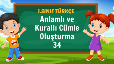 Anlamlı ve Kurallı Cümle Oluşturma 34