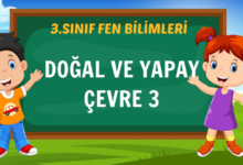 DOĞAL VE YAPAY ÇEVRE 3