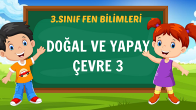 DOĞAL VE YAPAY ÇEVRE 3