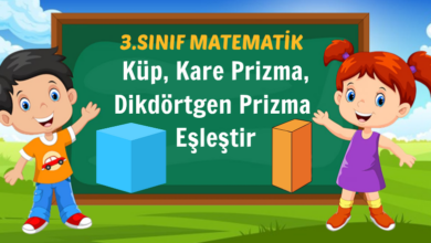 Dikdörtgen Prizma