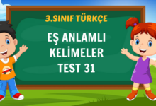 EŞ ANLAMLI KELİMELER TEST 31