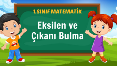 Eksilen ve Çıkanı Bulma