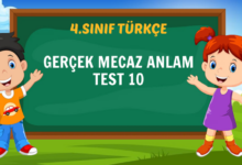 GERÇEK MECAZ ANLAM TEST 10