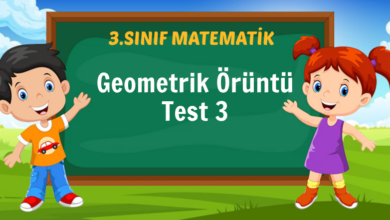 Geometrik Örüntü Test 3