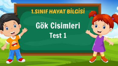 Gök Cisimleri Test 1