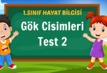 Gök Cisimleri Test 2