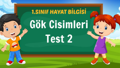 Gök Cisimleri Test 2