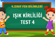 IŞIK KİRLİLİĞİ TEST 4
