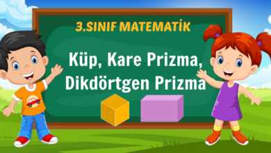 Küp, Kare Prizma, Dikdörtgen Prizma