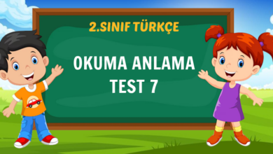 OKUMA ANLAMA