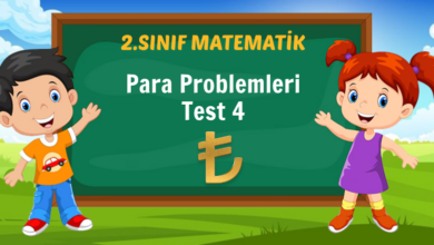 Para Problemleri Test 4