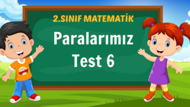 Paralarımız Test 6