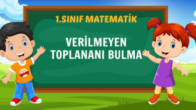 VERİLMEYEN TOPLANANI BULMA