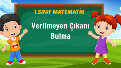 Verilmeyen Çıkanı Bulma