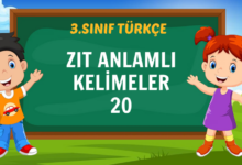 ZIT ANLAMLI KELİMELER 20