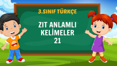 ZIT ANLAMLI KELİMELER 21