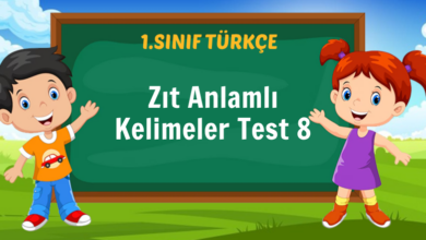 Zıt Anlamlı Kelimeler Test 8