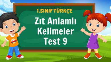 Zıt Anlamlı Kelimeler Test 9