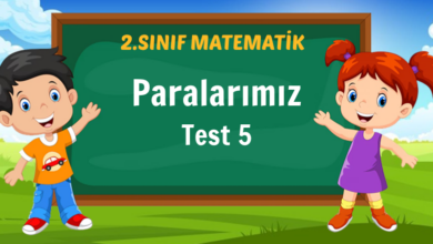 Paralarımız Test 5