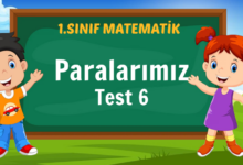 paralarımız testi