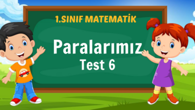 paralarımız testi