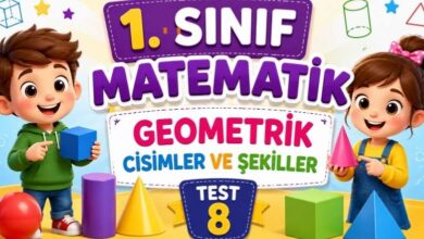 1. Sınıf Geometrik Cisimler ve Şekiller Test 8