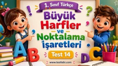1. sınıf Türkçe Büyük Harfler ve Noktalama İşaretleri test 14