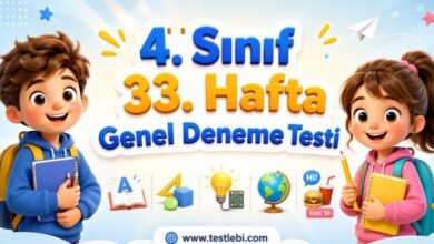 4. sınıf 33. hafta kazanım